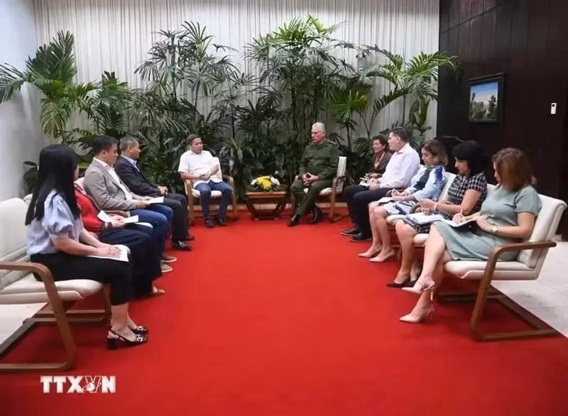 El presidente de Cuba, Miguel Díaz-Canel (derecha), recibe a representantes del empresariado vietnamita. (Fotografía: VNA)