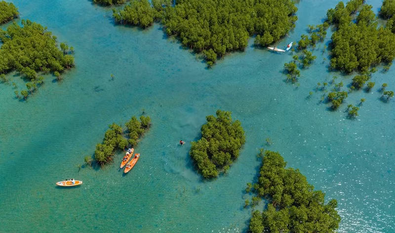 El bosque de mangles de Dam Bay, en la bahía de Nha Trang de la provincia vietnamita de Khanh Hoa, visto desde arriba.