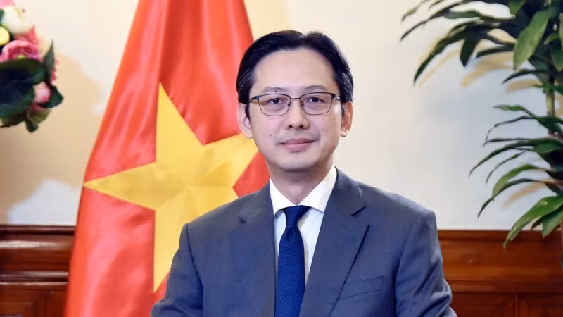 El viceministro de Relaciones Exteriores de Vietnam Do Hung Viet. (Fotografía: Ministerio de Relaciones Exteriores de Vietnam)