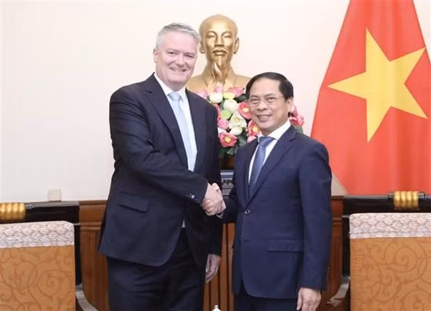 El ministro de Relaciones Exteriores de Vietnam, Bui Thanh Son (derecha), recibe al secretario general de la OCDE, Mathias Cormann. (Fotografía: VNA)