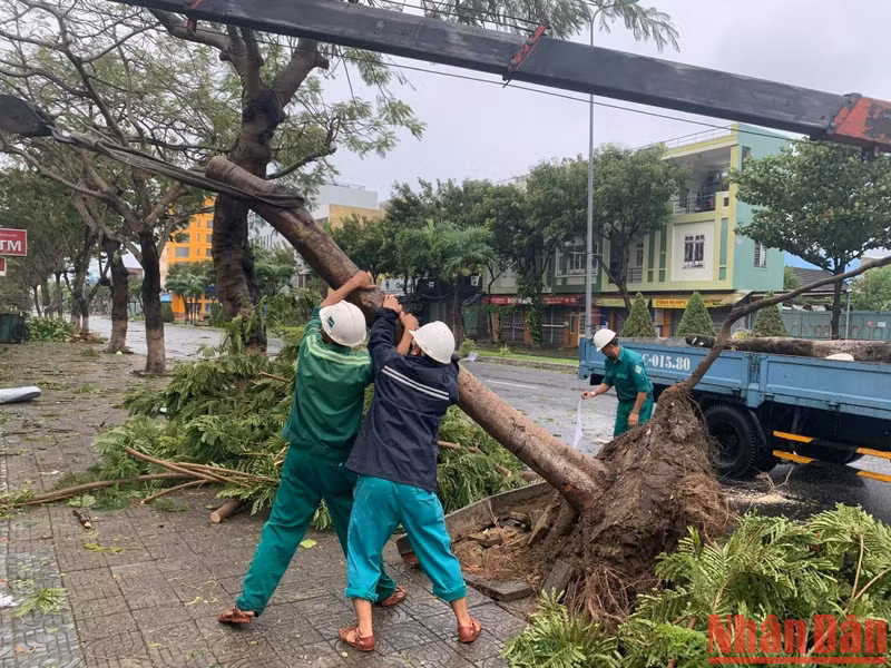 Ciudadanos de Da Nang hacen limpieza tras el azote de Noru. (Fotografía: Nhan Dan)