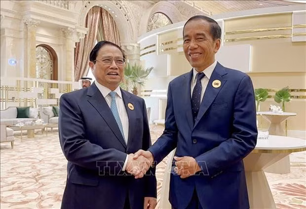 El primer ministro de Vietnam, Pham Minh Chinh (izquierda), y el presidente indonesio, Joko Widodo. (Fotografía: VNA)