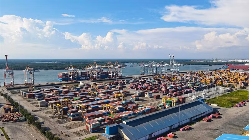 El sistema de almacenamiento y las mercancías de importación y exportación en la terminal Tan Cang-Cai Mep Thi Vai (TCTT).