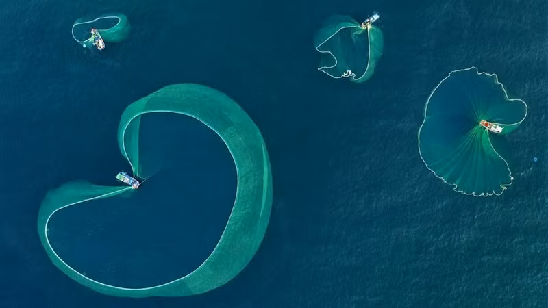 Hermosa vista desde arriba de la pesca de anchoas.