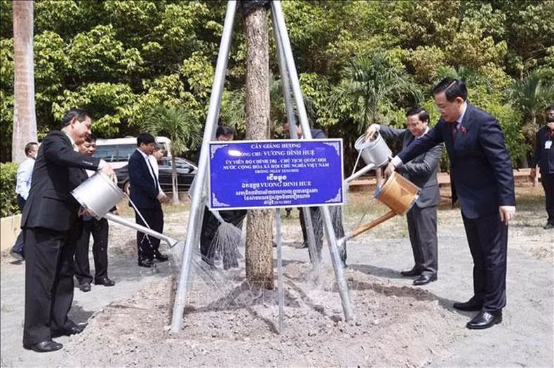 Dinh Hue planta un árbol de recuerdo en la finca.