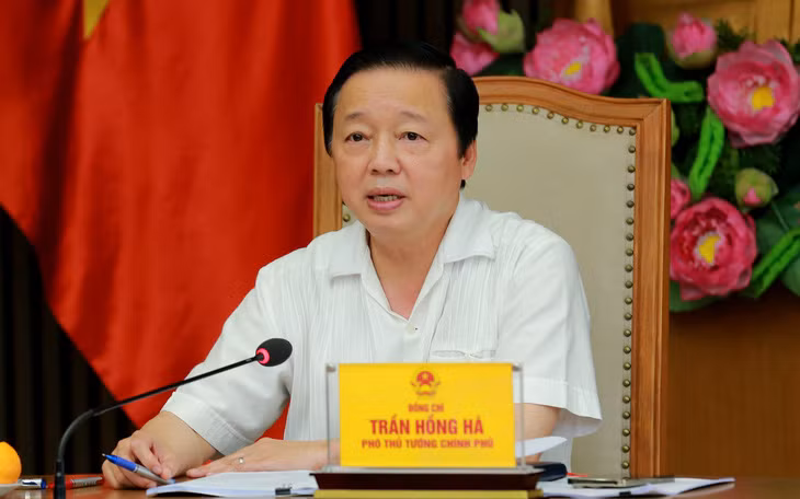 El vicepremier Tran Hong Ha habla en la reunión. (Fotografía: VGP)