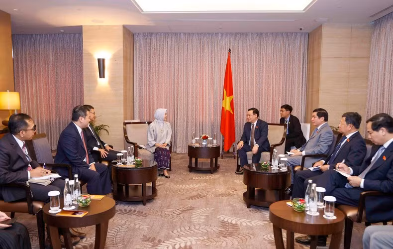 El presidente de la Asamblea Nacional de Vietnam, Vuong Dinh Hue, se reúne con la titular de la Junta de Auditoría de Indonesia, Isma Yatun. (Fotografía: VNA)