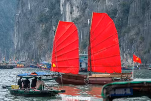 Foto: tienphong.vn