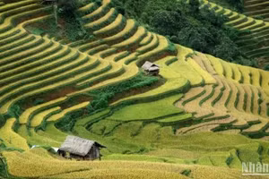 Expansión territorial: Un impulso clave para crecimiento y diversificación del turismo