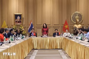 La viceministra de Relaciones Exteriores Le Thi Thu Hang trabaja con asociaciones vietnamitas en la provincia de Udon Thani, en el noreste de Tailandia. (Foto: VNA)