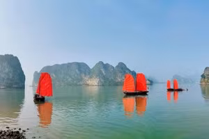 Entran en servicio embarcaciones tradicionales de madera de Quang Ninh