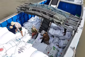 Filipinas es uno de los principales mercados de exportación de arroz de Vietnam. (Foto: VNA)