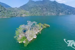 El lago Ba Be (Foto: baothainguyen.vn)