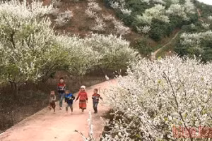 Muestra cultural de regiones montañosas de Vietnam abrirá en mayo