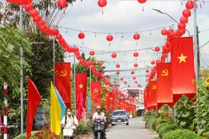 Una carretera rural en la comuna de Tra Con, provincia de Vinh Long, engalanada con banderas y flores, refleja el ambiente festivo y de expectación ante la próxima jornada electoral. (Foto: VNA)