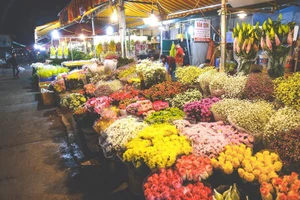 [Vídeo] Mercado de flores en Hanói se llena de ambiente antes del Tet