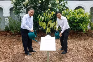 [Foto] Dirigentes de Vietnam y Singapur participan en acto de plantación de árboles en el Jardín Botánico de Singapur