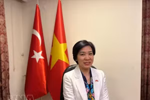 La embajadora de Vietnam en Turquía, Dang Thi Thu Ha. (Foto: VNA)