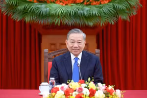 [Foto] Máximo dirigente de Vietnam mantiene una conversación telefónica con presidenta del Partido Liberal Democrático de Japón