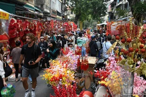Vietnam recibe más de 2,2 millones de turistas internacionales en febrero