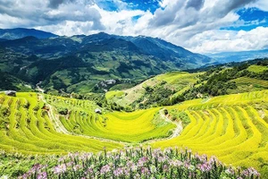 [Vídeo] Turismo de Vietnam despega en la temporada dorada de fin de año