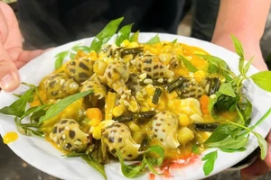 Una variedad de tentadores platillos de caracoles atraen a los comensales. (Foto: dantri.com.vn)