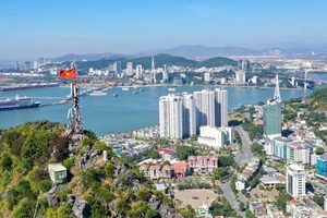 Puentes que cruzan la bahía de Cua Luc de provincia vietnamita de Quang Ninh