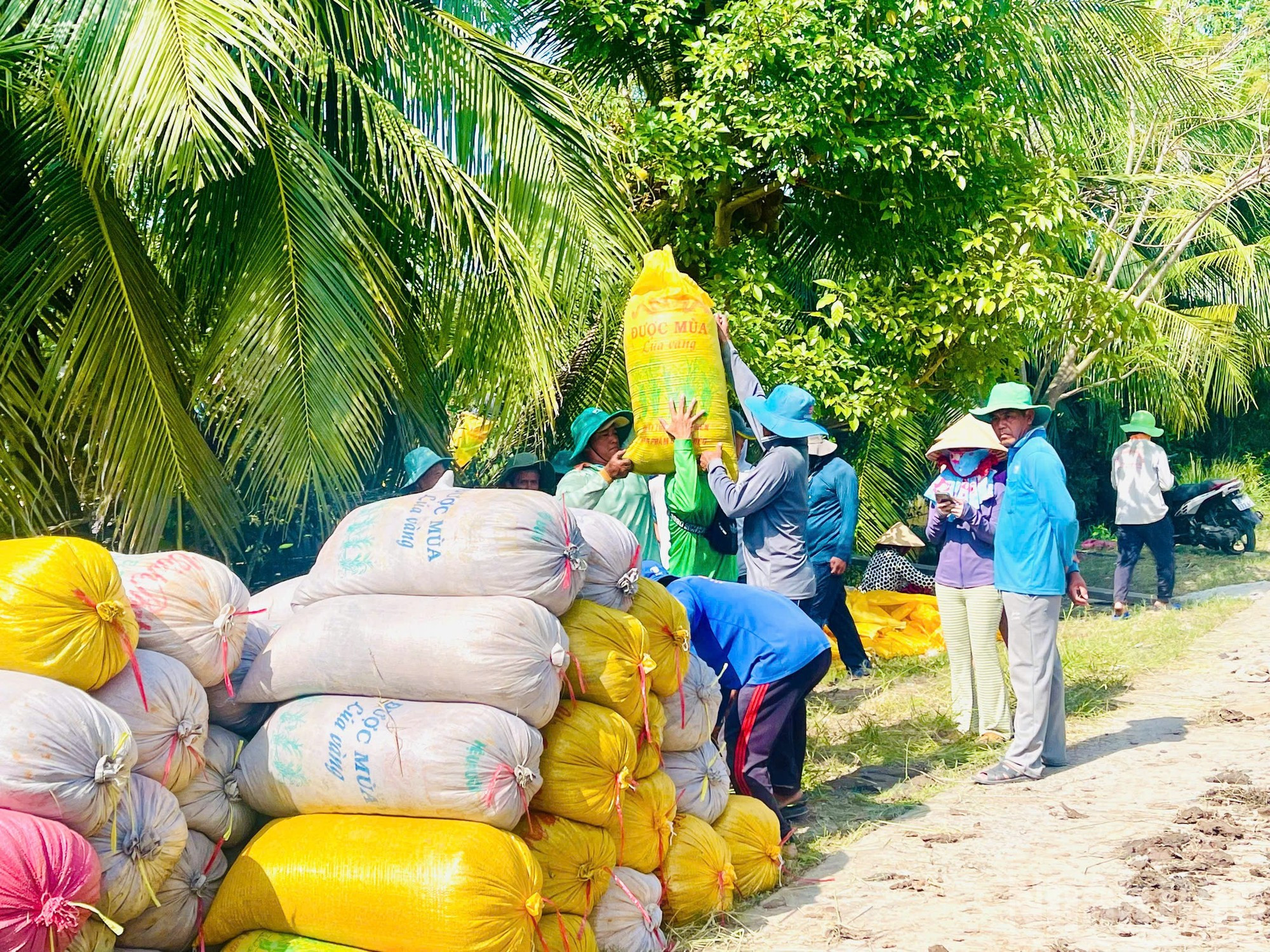 Cada saco de arroz se pesa cuidadosamente antes de ser cargado en embarcaciones para su traslado al punto de acopio y su posterior envío a Can Tho.