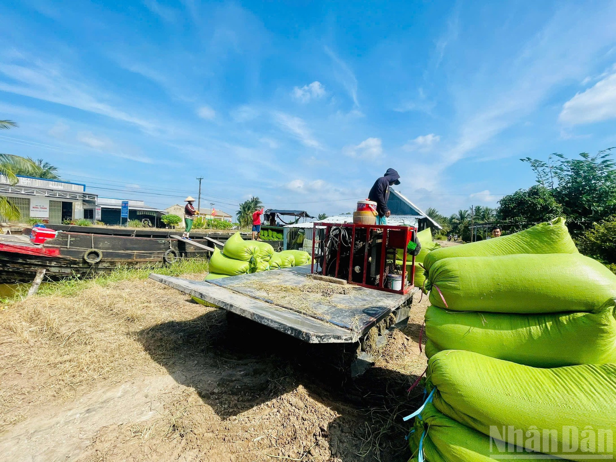 Cada saco de arroz se pesa antes de ser cargado en embarcaciones para su traslado al punto de acopio y su posterior envío a Can Tho.
