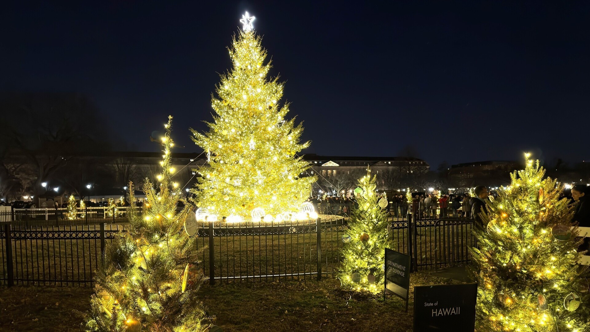 En Washington, capital de Estados Unidos, 59 pequeños árboles decorativos representan a los 50 estados, el Distrito de Columbia, cinco territorios de ultramar, el sistema educativo indígena, el sistema educativo para hijos de militares y un representante especial del programa America250.