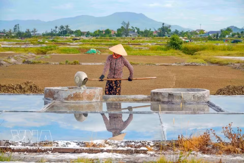 Salineros trasladan el agua salada a los estanques de filtración. (Foto: VNA)