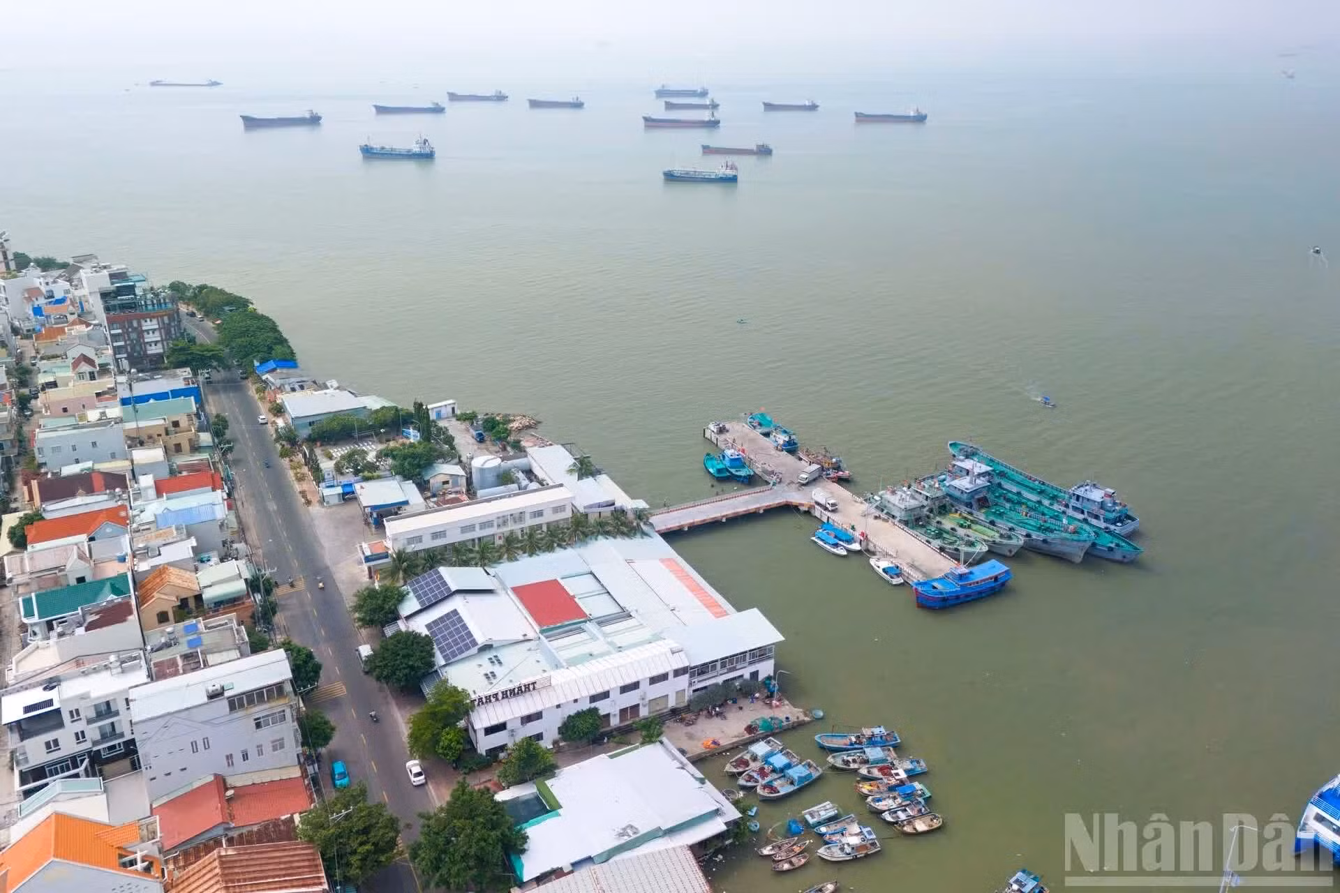  El proyecto será el primero de Vietnam que incorpore un puente combinado con un túnel sobre el mar, lo que mejorará la conectividad entre Ciudad Ho Chi Minh y la zona de Ba Ria-Vung Tau e impulsará el turismo, los servicios y la economía marítima, así como ampliará el espacio de desarrollo hacia el sureste.