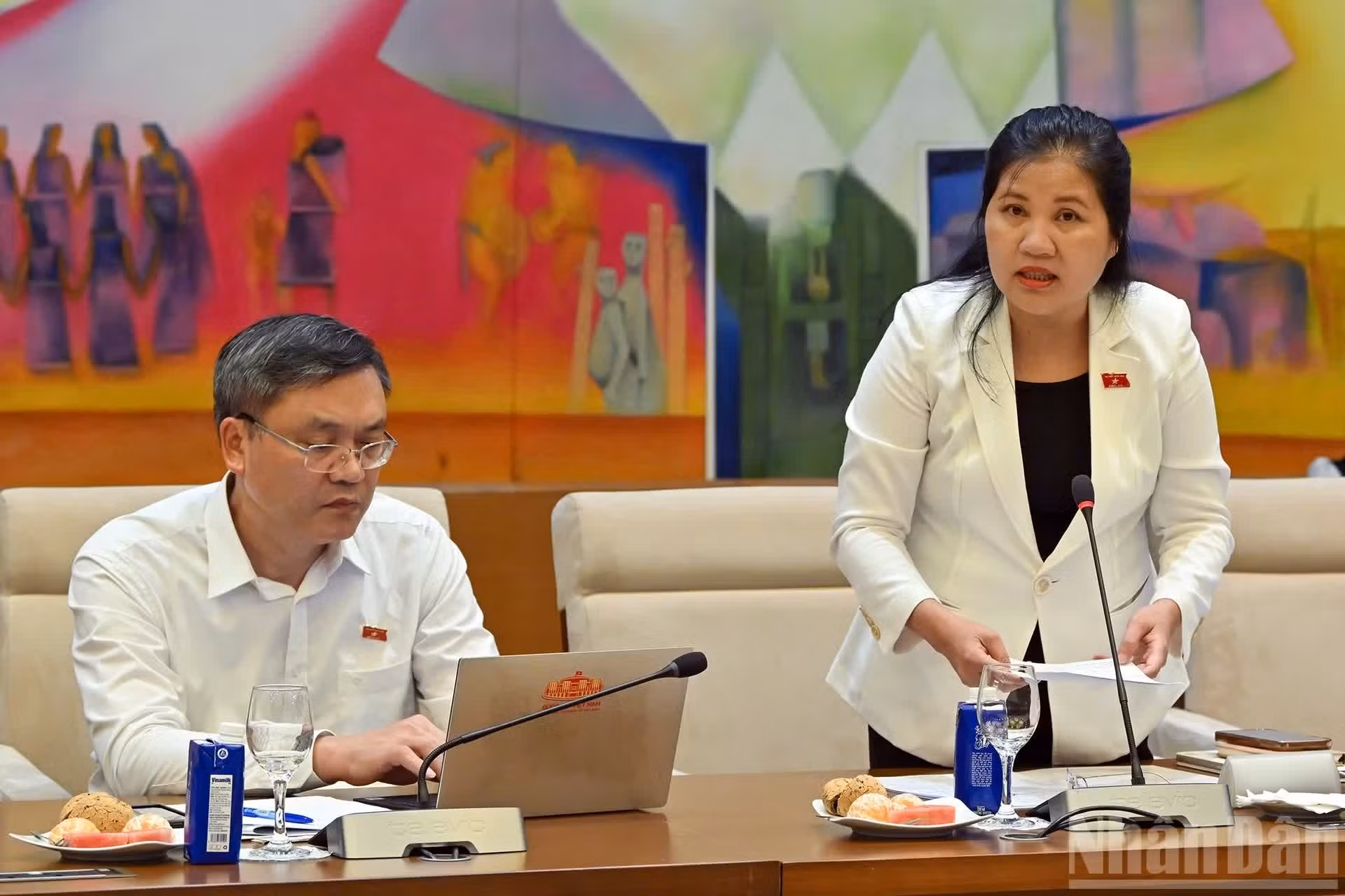La vicepresidenta del Consejo de Nacionalidades, Dinh Thi Phuong Lan, interviene en la reunión.