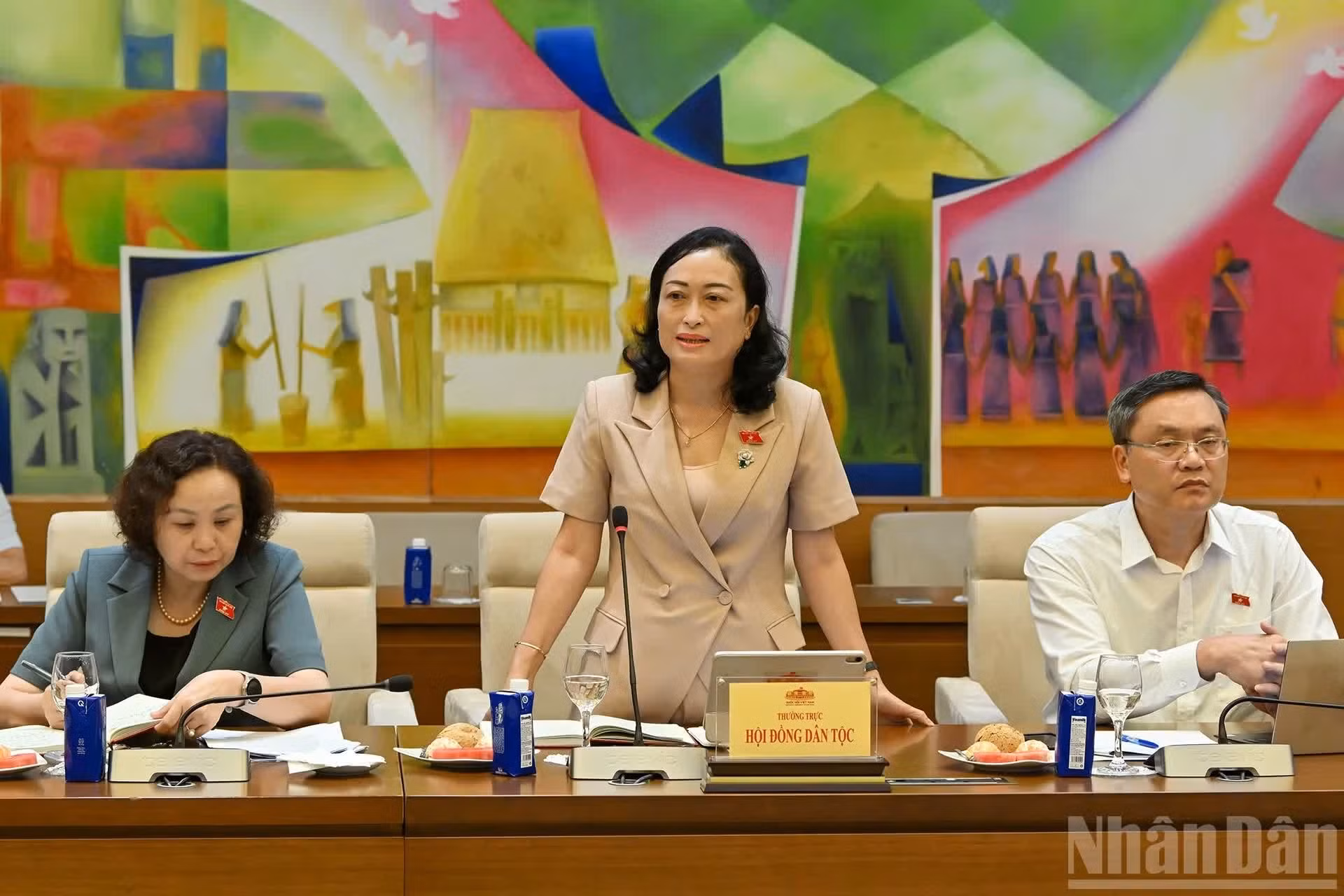 La vicepresidenta del Consejo de Nacionalidades, Tran Thi Hoa Ry, interviene en la reunión.