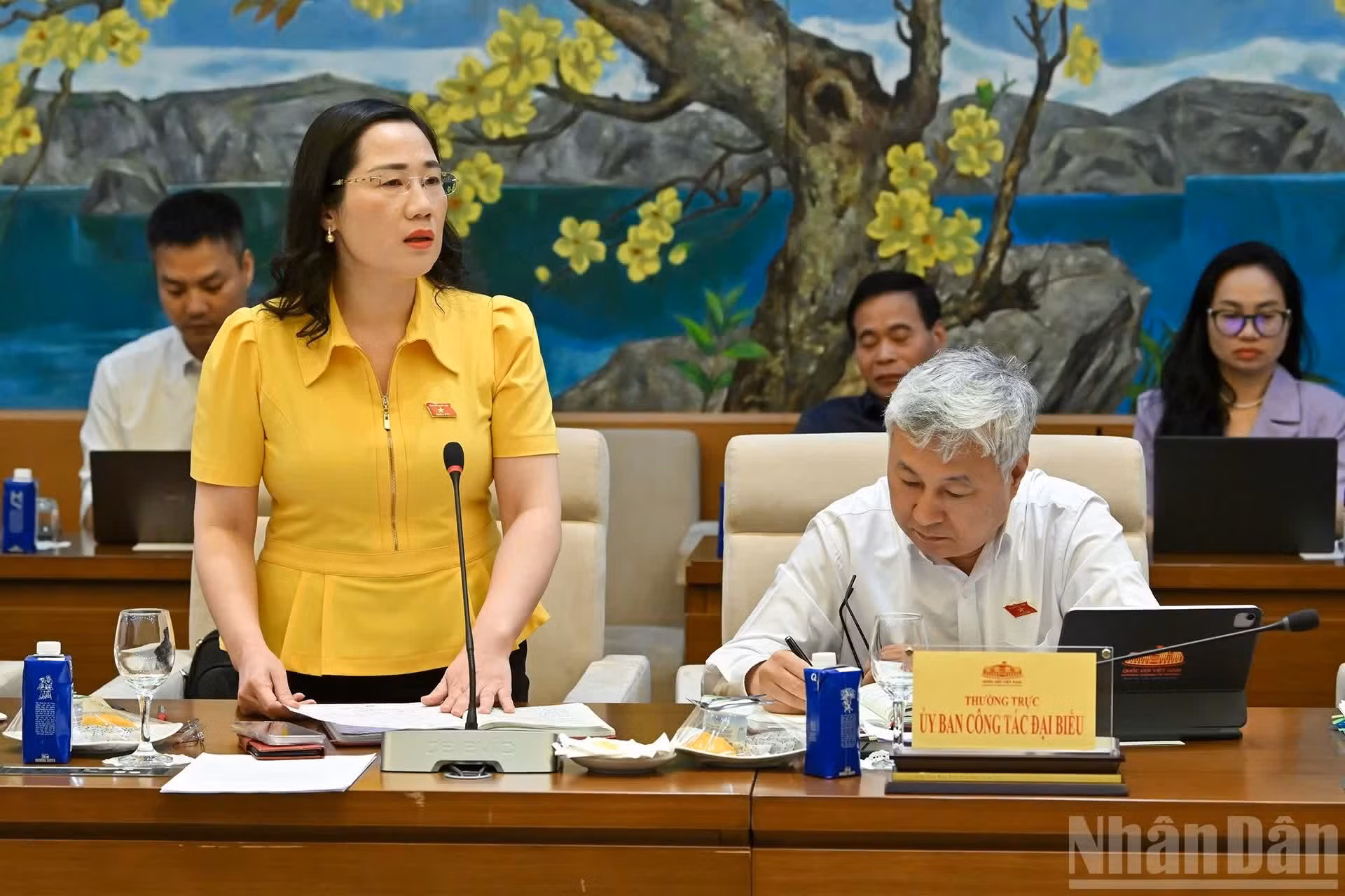 La vicepresidenta de la Comisión de Jurídica y Judicial, Nguyen Thi Thuy, habla en la reunión.