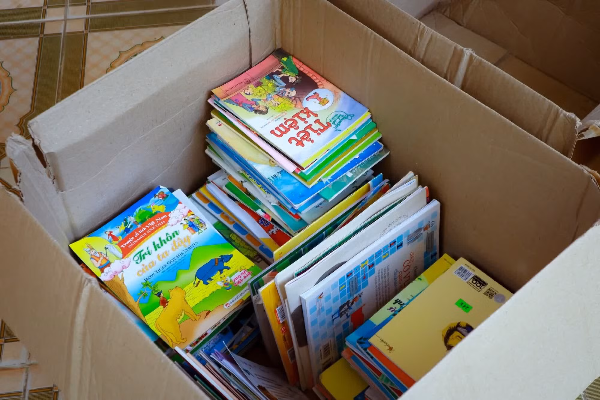 Los libros fueron clasificados, organizados y entregados a la Escuela Primaria y Secundaria Huu Lien, en la provincia de Lang Son.