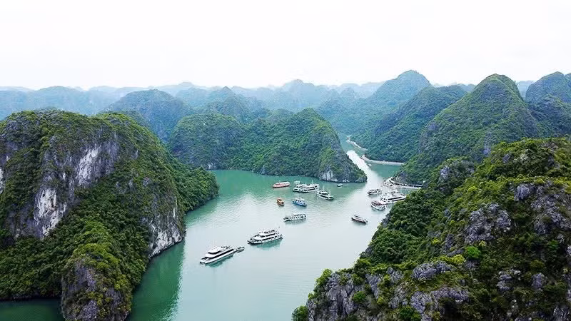 Diversas rutas turísticas permiten descubrir la bahía de Lan Ha.