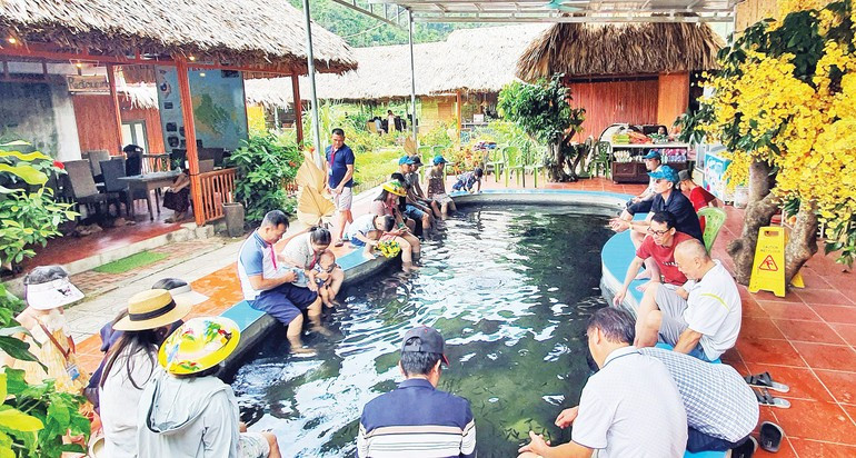 Turistas disfrutan del servicio de masaje con peces en el pueblo.