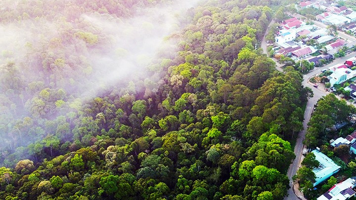 Gracias a su clima fresco durante todo el año, Mang Den se consolida como un destino atractivo para visitantes de todo el país. Gracias a su clima fresco durante todo el año, Mang Den se consolida como un destino atractivo para visitantes de todo el país.