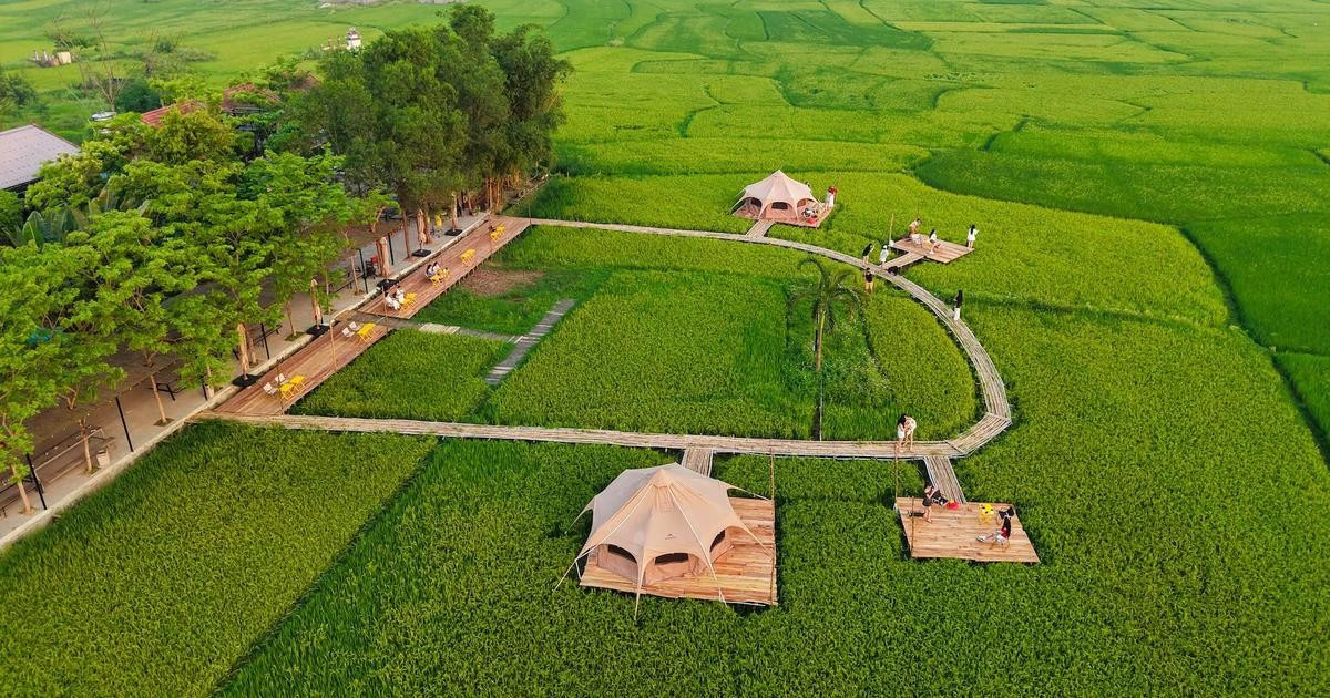 Turismo entre arrozales: una experiencia rural en Quang Binh