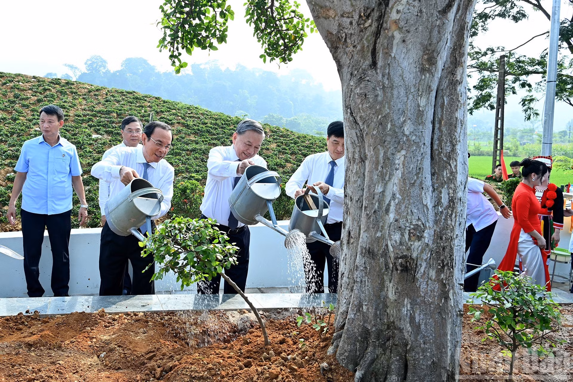 El líder partidista planta un árbol conmemorativo en el recinto de la estatua “Tío Ho en Tan Trao”.