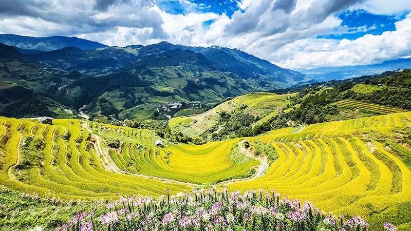 La escena se asemeja a una acuarela que emerge de las montañas y los bosques.