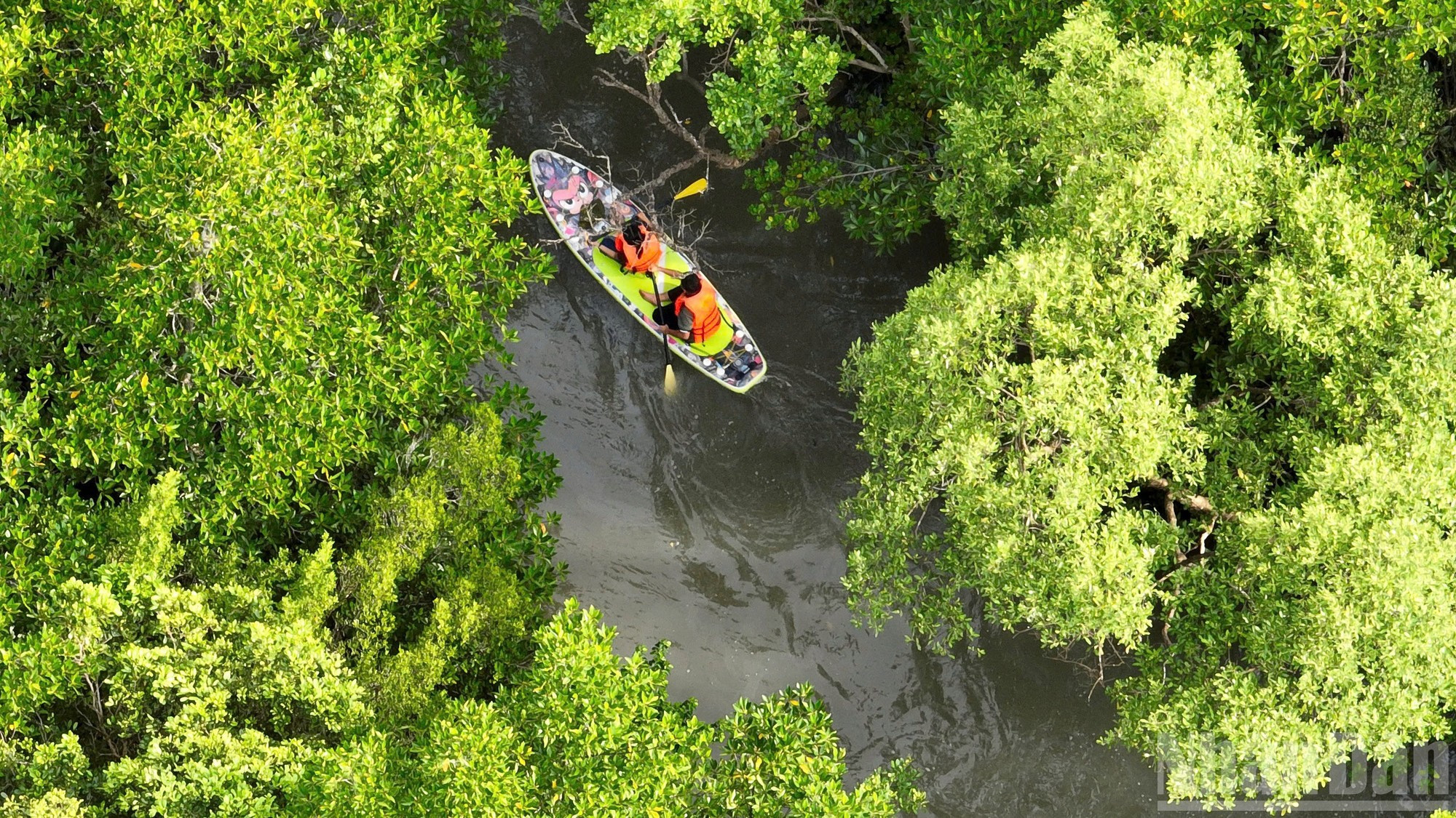 Gravemente devastado durante la guerra, el bosque ha renacido gracias a los esfuerzos de la población local y de jóvenes voluntarios por reforestarlo y darle una nueva vida.