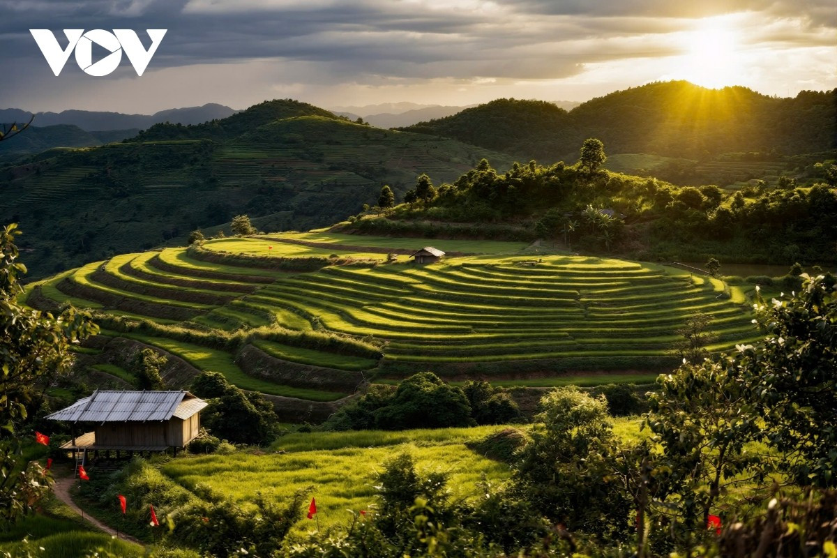 El atardecer en Dien Bien no es solo un color de la naturaleza, sino también el ritmo vital de la montaña y el bosque. Cada rayo de luz crea un cuadro dorado, suave y salvaje a la vez.