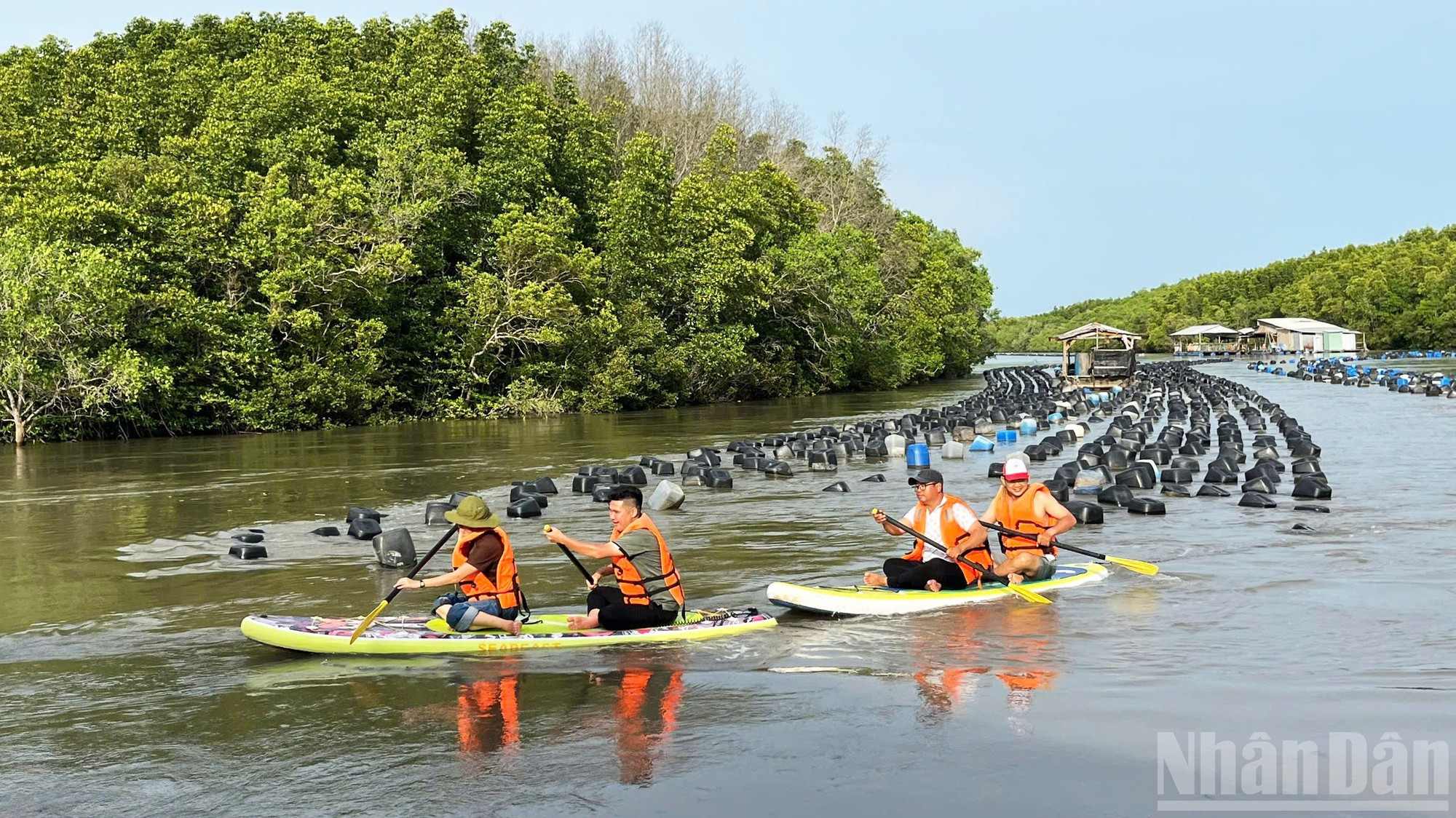 Como comuna marítima de Ciudad Ho Chi Minh, Can Gio posee un gran potencial para desarrollar una economía marina sostenible, siempre y cuando se respete la conservación de sus valiosos manglares.