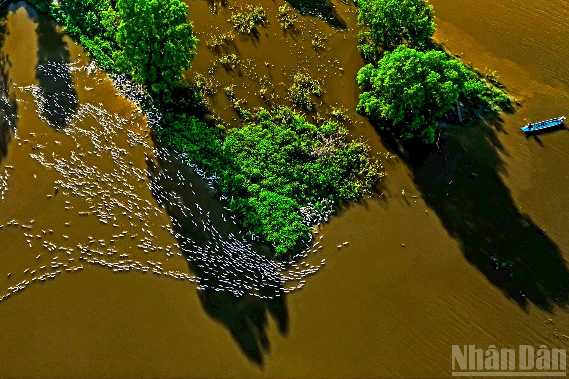 Sombras del atardecer sobre las zonas anegadas.