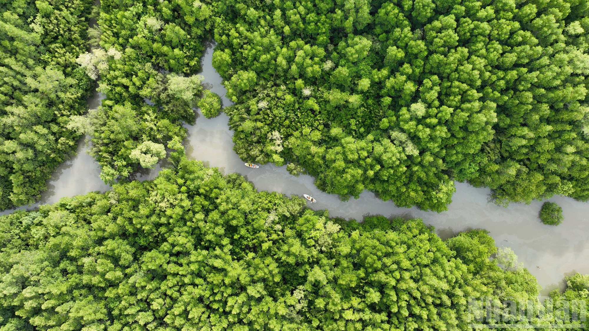 Bosque de manglares de Can Gio, el pulmón verde de Ciudad Ho Chi Minh