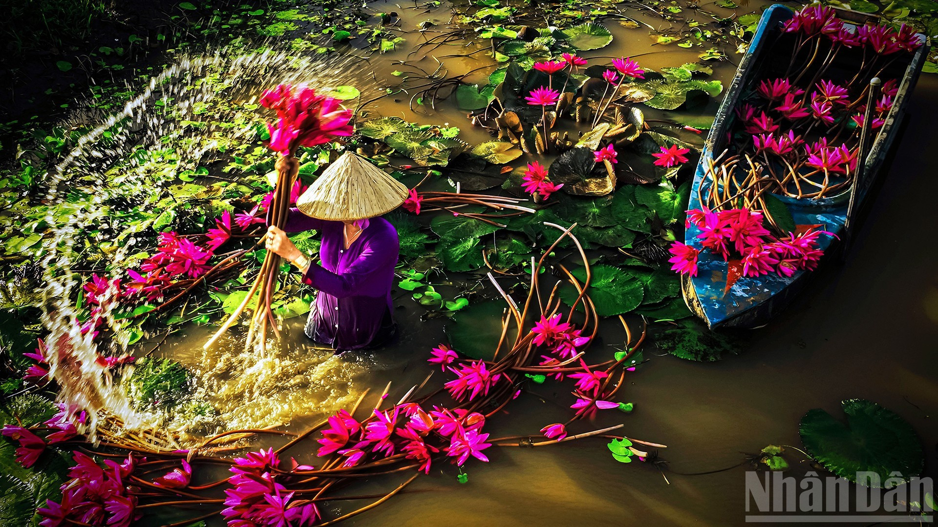 [Foto] Impresionantes imágenes del delta del Mekong en temporada de crecidas