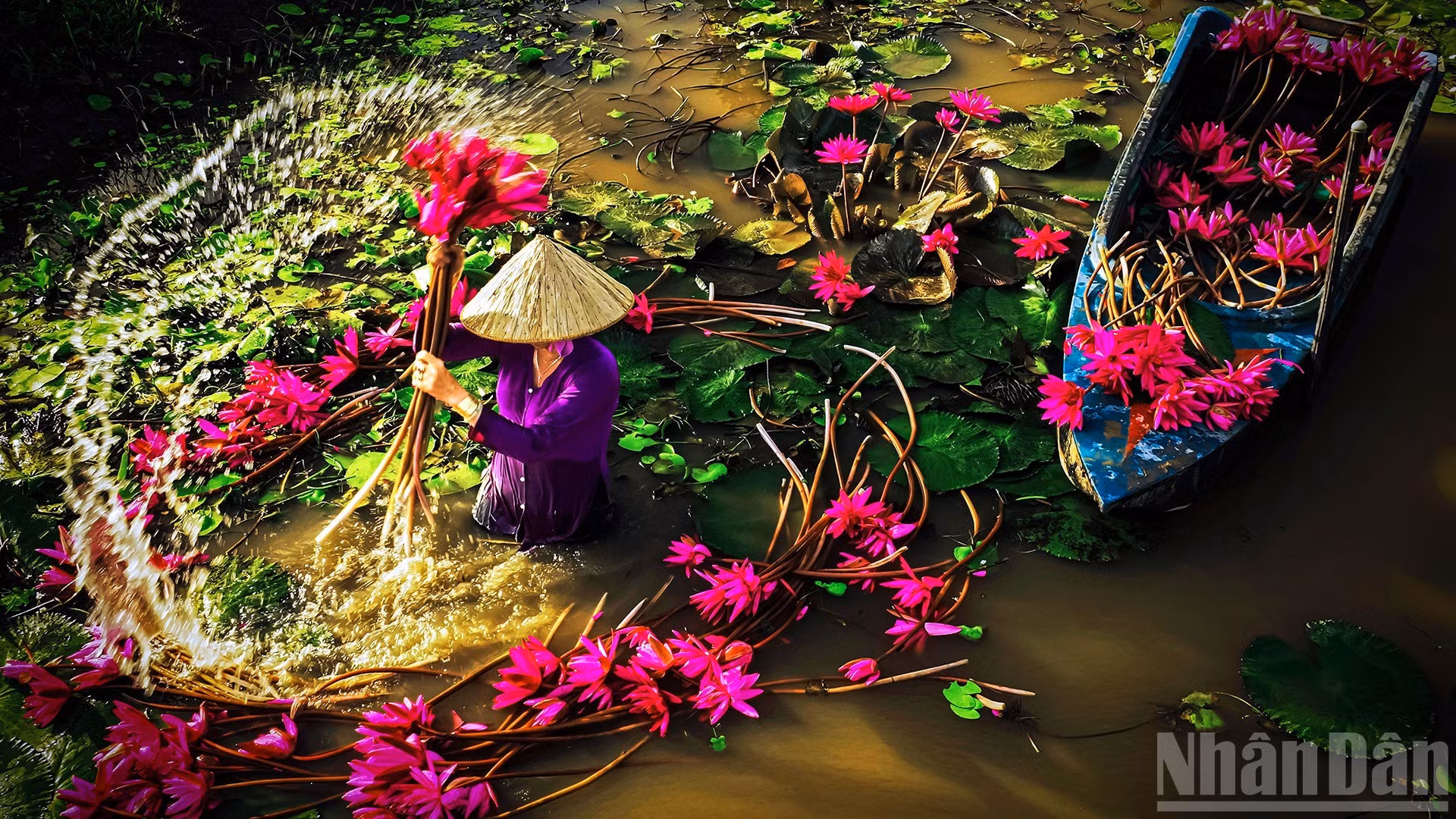 [Foto] Impresionantes imágenes del delta del Mekong en temporada de crecidas