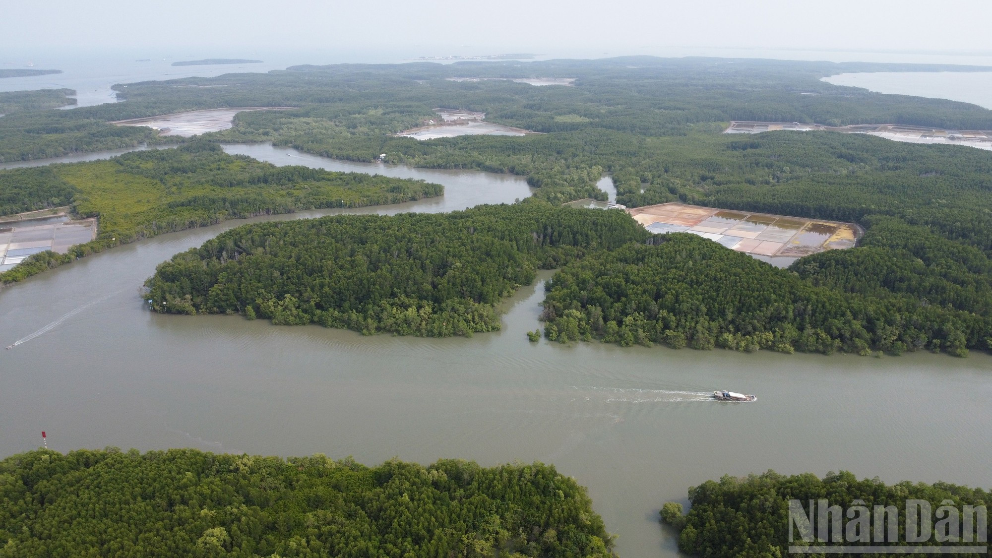 Además de explorar los manglares, los viajeros pueden recorrer la isla Thieng Lieng, el único modelo de turismo comunitario de Ciudad Ho Chi Minh, o visitar el área turística de Vam Sat y la Isla de los Monos. También pueden acampar, contemplar el mar y disfrutar del aire puro y la serenidad del entorno.